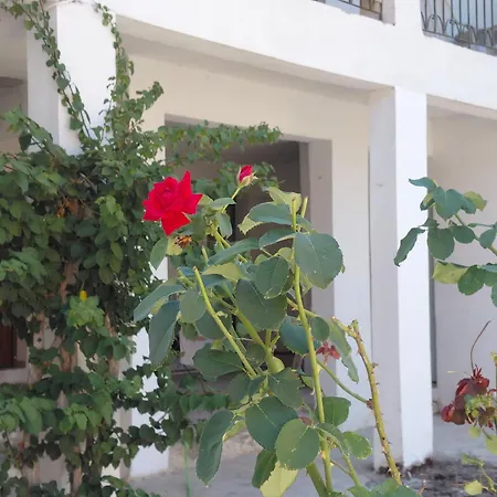 شقة Antistoni Scenic Nature View, Private Balcony & Yard Agros (Corfu)
