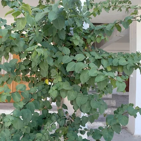 Antistoni Scenic Nature View, Private Balcony & Yard Lejlighed